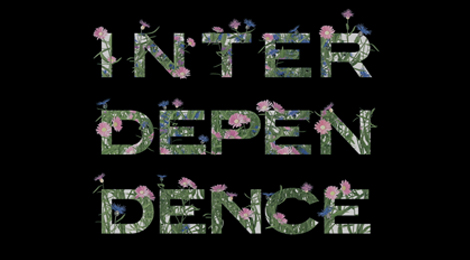 InterD Interdependence